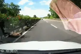 超车不成恶意别车？拘了！ | 一线微观图片