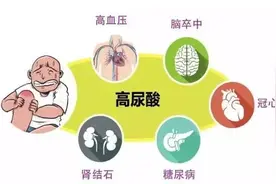 尿酸高哪些能吃，哪些不能吃，一篇文章告诉你图片