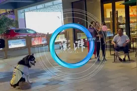 熊猫人偶被狗狗拽着狂奔，网友：看到了我遛狗的样子图片