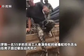 危险！俄罗斯男子表演吞蛇，舌头被毒蛇咬伤后身亡图片