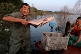 密云水库开渔 市民在商超即可买到水库鱼图片
