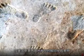 果然视频丨两万三千年前的人类脚印长啥样？人类到美洲原来这么早图片