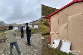 注意！甘德县有棕熊出没图片