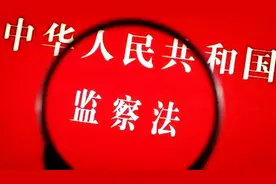 101个罪名 划定公职人员履行职责最底线要求图片