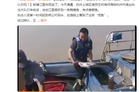 钱塘江今早发现！是鱼却长了鸭子嘴，这条“怪鱼”你认识吗？图片