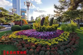 长春儿童公园“金秋菊花展”百余种花卉免费观赏图片