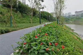 水清岸绿河畅景美 巴南打造高品质生活宜居区“加速度”图片