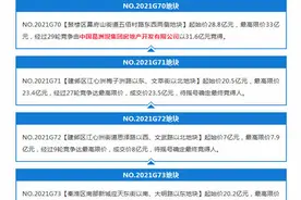 成交超500亿！南京41幅地块成交，11幅触顶待摇号图片