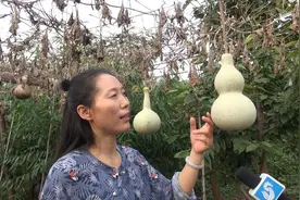 20年坚持，济南“葫芦画”夫妇作品卖到17万，还安置了15名残疾人就业图片