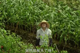 这份秋分书单，来自读者的反向安利图片