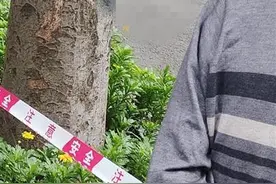 成都一男子坠亡被谣传为凶杀案，警方：初步排除刑事案件图片