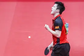 第一块全运男单金牌！樊振东4-0刘丁硕，收下全国冠军图片