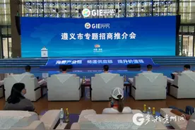 遵义制造亮相工博会：基础雄厚 优势突显图片
