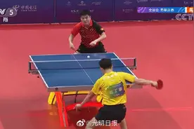 樊振东全运会男单夺冠图片