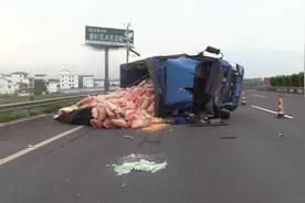 广西钦州一司机开车分神追尾，13吨玉米撒落高速视频封面