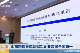 中国制造业单项冠军研究报告：山东制造业单项冠军企业数全国第一视频封面
