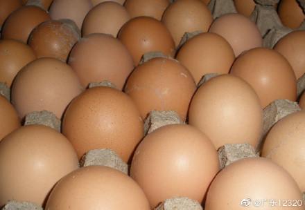 几块钱和几十块钱的鸡蛋有啥区别？