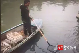 为弄野鱼给孙子吃，男子光天化日电捕鱼被捉图片