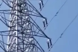 广东梅州一男子爬上高压电线塔顶端跳下身亡！警方正了解原因图片