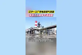 辽宁一工厂停电后煤气泄漏，多名工人身体不适送医图片