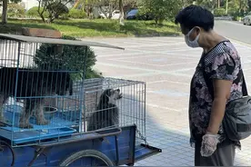 “我心软，看不得。”杭州一位阿姨一天街头骑行超60公里，发现流浪动物就救助图片