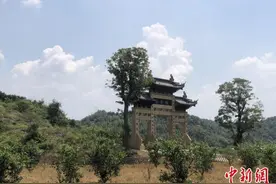 浙江常山“两山银行”周岁记：护绿富民 点石成金 聚沙成塔图片