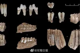 河南鲁山仙人洞遗址发现3.2万年前现代人头骨图片