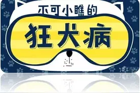 不可小瞧的“狂犬病”图片