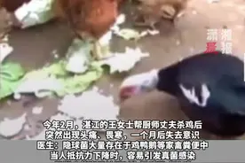 注意！广东女子帮丈夫杀鸡后失去意识，医生：感染隐球菌致脑膜炎，致死率可高达40%视频封面