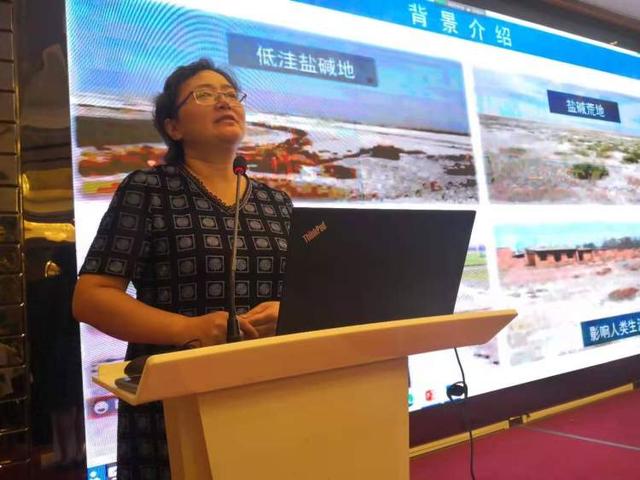 淡水鱼有胶原蛋白吗 2026年淡水鱼有胶原蛋白吗百度百科