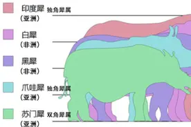 人犀之间：从猎杀驯养到灵犀想象图片