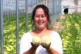 青州银瓜从“一季鲜”变为“四季甜”图片