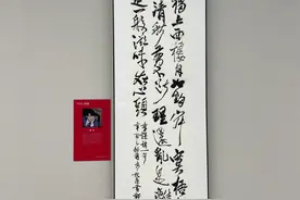 黄轩书法作品获邀参展，工作人员透露其收工就爱练字图片