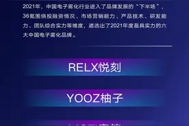 跨越峰谷周期后，2021中国电子雾化品牌实力图片