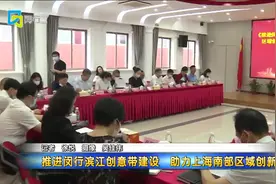 推进闵行滨江创意带建设 助力上海南部区域创新发展视频封面