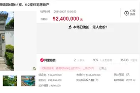 「今日杭州」“杭州最贵法拍房”跌破1亿，二拍仍流拍图片