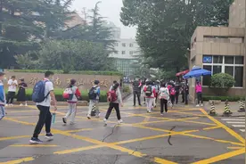 山东出台中小学强课提质行动实施方案图片
