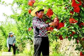 劳动成就梦想——劳动精神述评图片