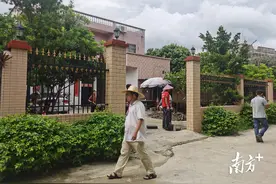 农户庭院围墙“降高透绿”，电白霞洞镇“围墙革命”提颜值图片