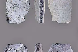 河南发现距今3.2万年人类头骨化石图片