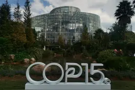 昆明“扶荔宫”带你穿越植物王国图片