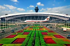 广州花都两会观察｜谋划“一区一城一港”，擘画花都产业蓝图图片