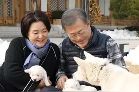 韩国总统文在寅建议全国禁食狗肉，称终结传统“时机已到”图片