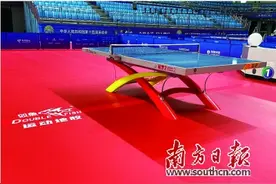双鱼 小球打出大舞台 构建体育产业生态美好蓝图图片
