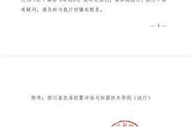 农房如何提高抗震能力？四川出台《农房抗震评估与加固技术导则》图片