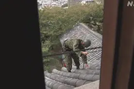 清鸟粪，割杂草……日本自卫队员在“和歌山城”开展清扫活动图片