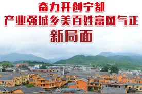 奋进新征程 | 宁都：奋力开创产业强城乡美百姓富风气正新局面图片
