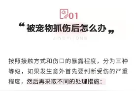 被猫狗抓伤咬伤怎么办？第一步并不是打疫苗图片