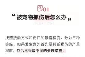 被猫狗抓伤咬伤怎么办？第一步并不是打疫苗图片