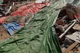郑州一小学临近返校突然通知搬迁新校区 引来家长的质疑和担忧图片